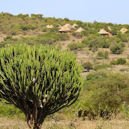 Africa Safari Maasai Boma Camping Serengeti Eksteriør bilde