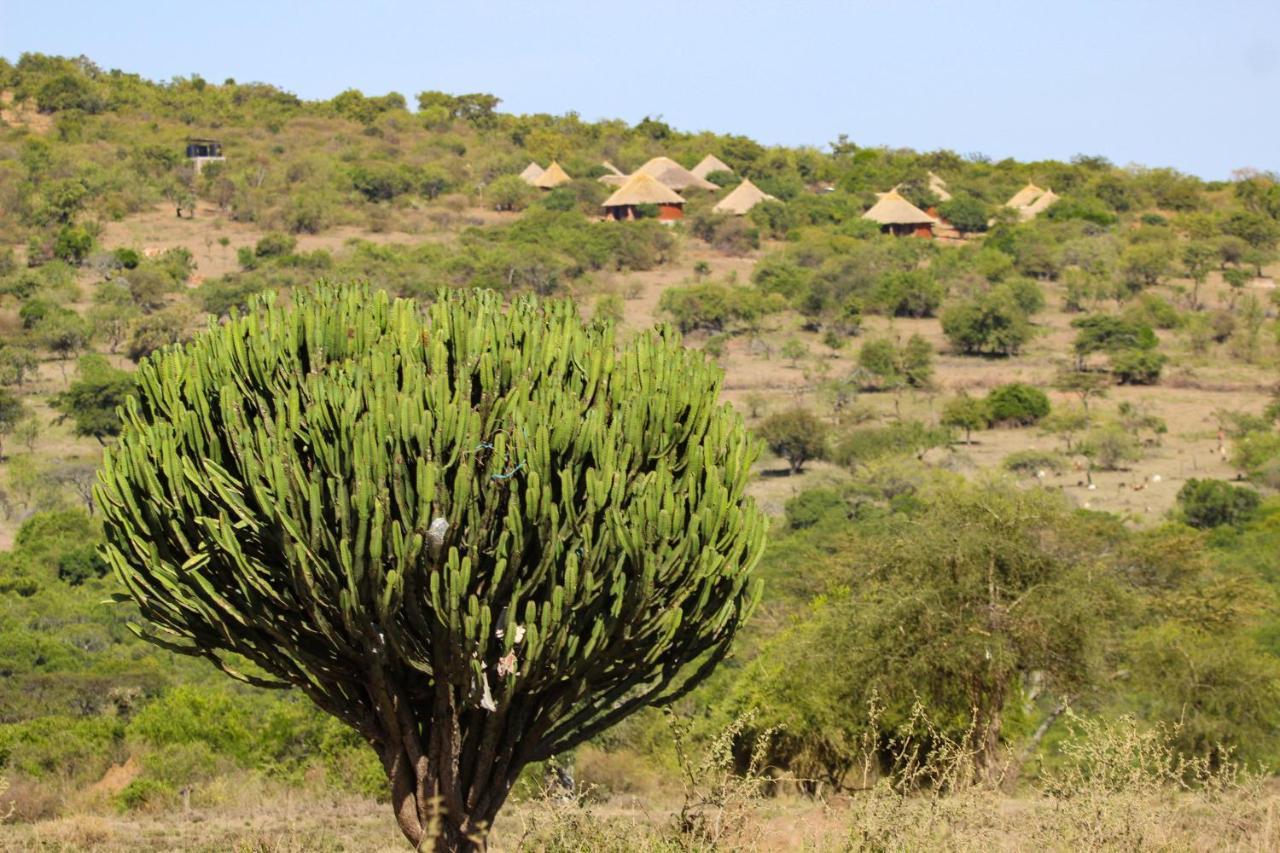 Africa Safari Maasai Boma Camping Serengeti Eksteriør bilde