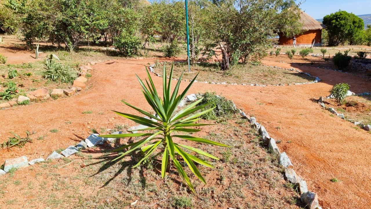 Africa Safari Maasai Boma Camping Serengeti Eksteriør bilde
