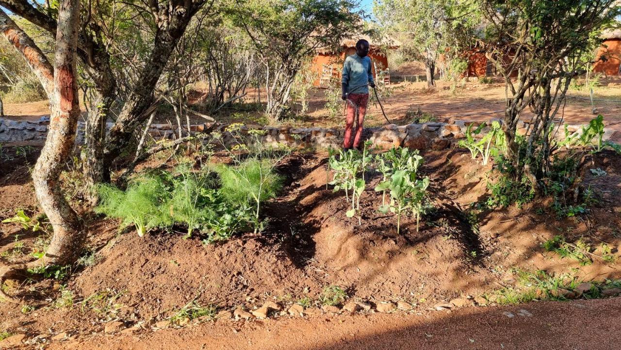 Africa Safari Maasai Boma Camping Serengeti Eksteriør bilde